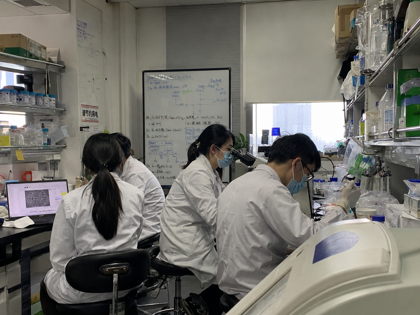 科研与教学训练